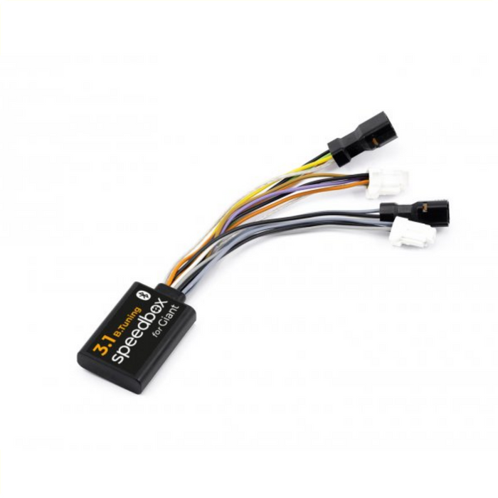 Speedbox 3.1BT Giant VV