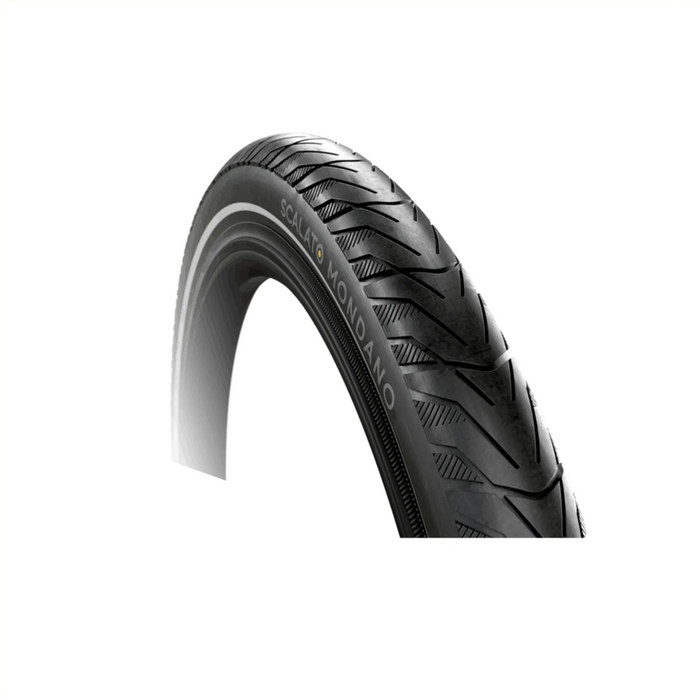 Scalato Mondano 42-622