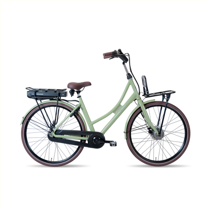 E-Cargo N7 50cm Slate green, Disc
